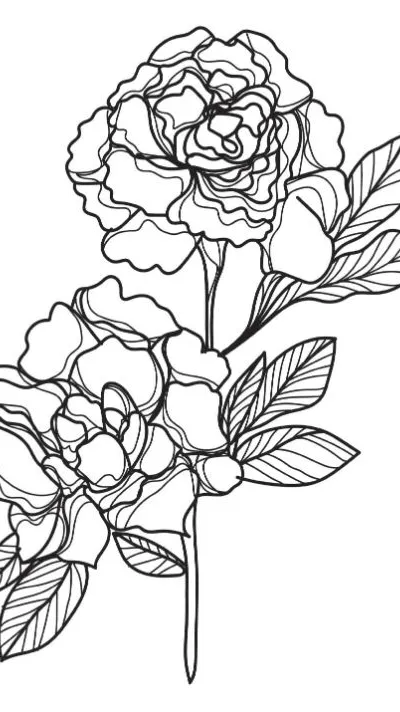 Two beautiful peony flowers with detailed petals and leaves coloring page.