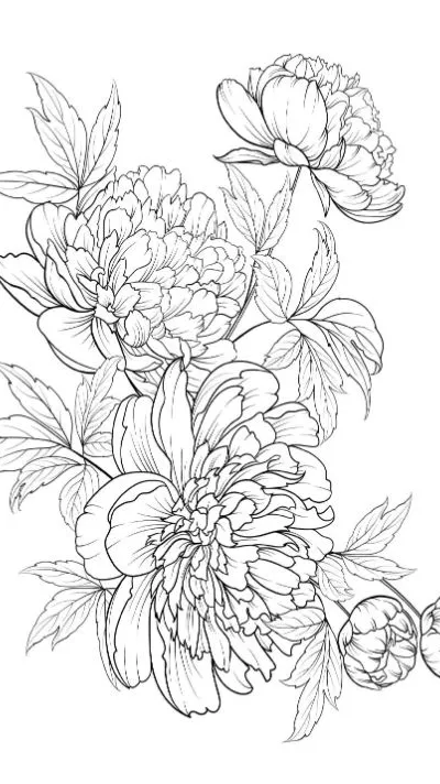 Elegant peonies and buds with detailed petals and leaves. coloring page